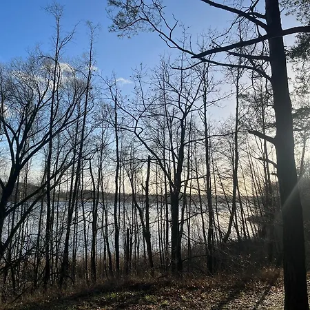 Wielkopolska Szydlowiec * Orchowo