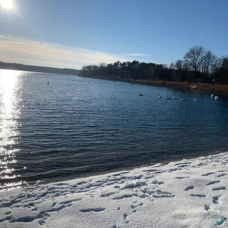 Wielkopolska Szydlowiec * Orchowo