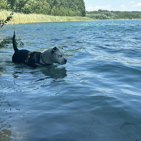 Wielkopolska Szydlowiec アパート *