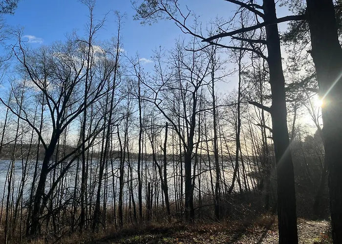 Wielkopolska Szydlowiec * Orchowo