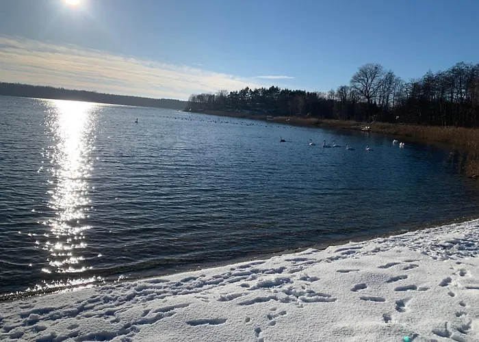 Wielkopolska Szydlowiec * Orchowo