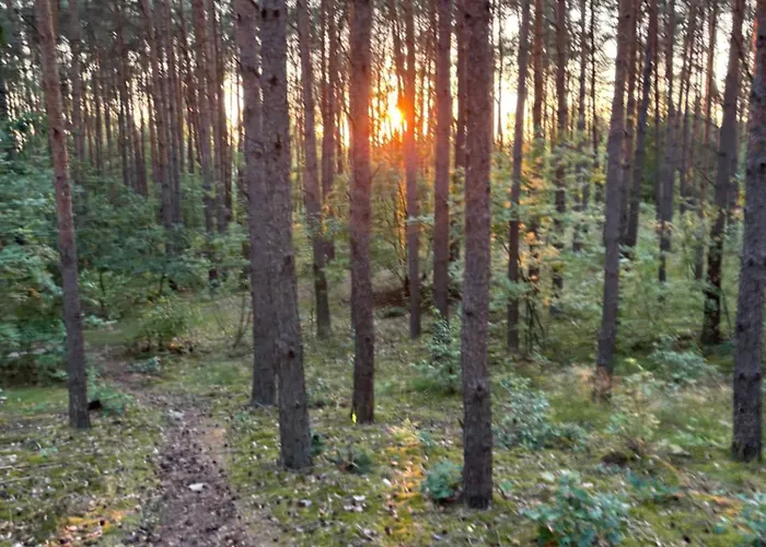 Wielkopolska Szydlowiec *