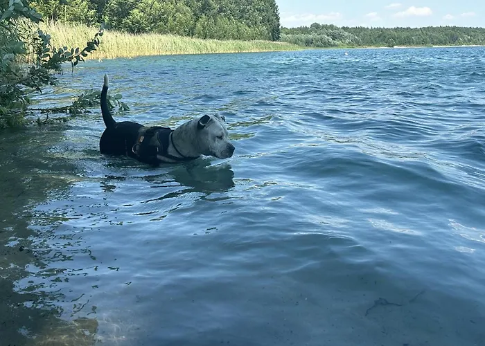 Wielkopolska Szydlowiec شقة *